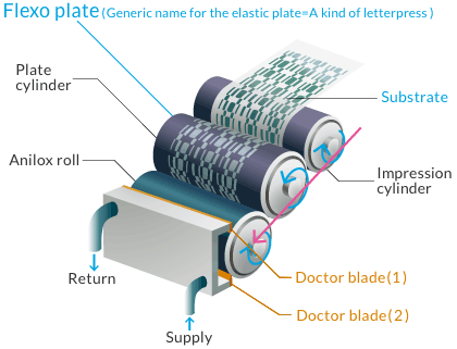 Flexo Plate(Generic name for elastic plates = A type of letterpress)