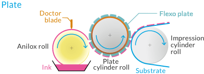 Plate cylinder