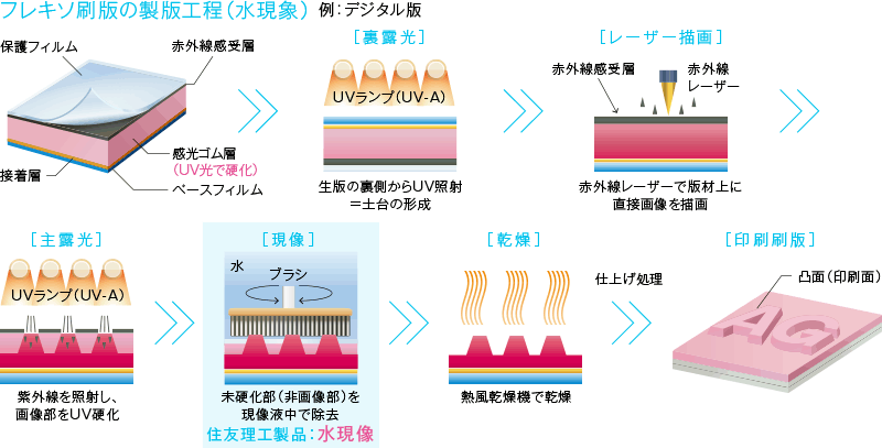 フレキソ刷版の製版工程（水現象） 例：デジタル版