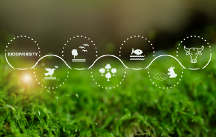 Contributing to a Society in Harmony with Nature