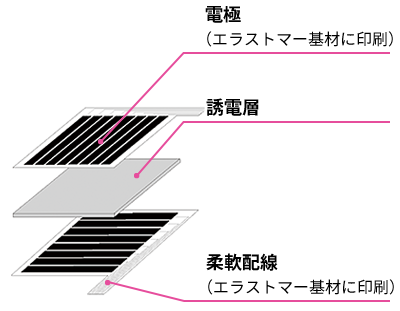 体圧分布