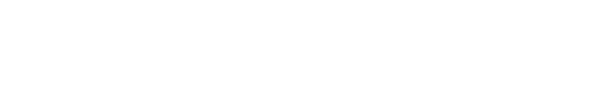 Project STORY