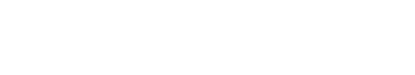 Internship